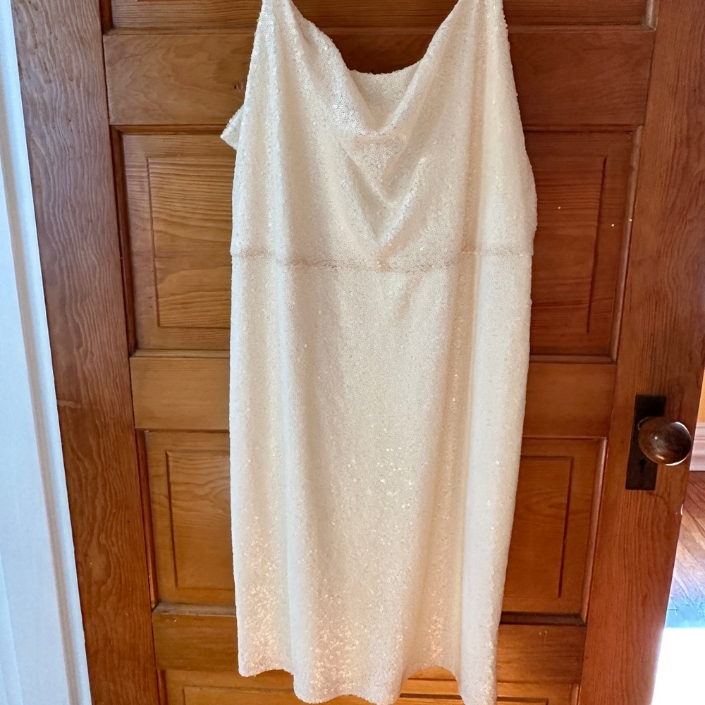 Size 12 Halston Cream Sequined Dress